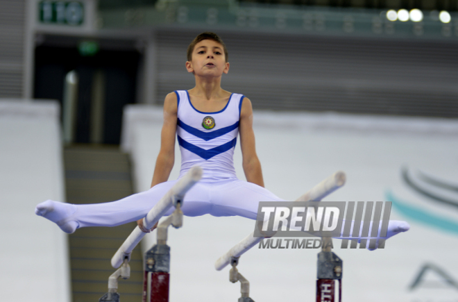 Kişi idman gimnastikası üzrə 22-ci Bakı Çempionatı və Birinciliyi. Bakı, Azərbaycan, 02 oktyabr 2015